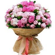 Букет 51 пион
