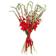 Букет из 11 красных гладиолусов