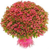 Bouquet of 151 roses spray