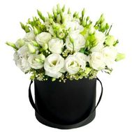 A bouquet of 25 eustoms in a box