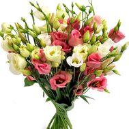 Bouquet of 27 eustoms