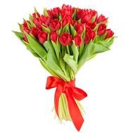 Букет из 35 красных тюльпанов
