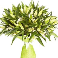 Букет из 35 лилий