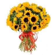 Bouquet of 51 sunflowers