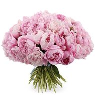 Букет из 55 пионов