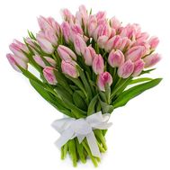 Bouquet of 65 pink tulips