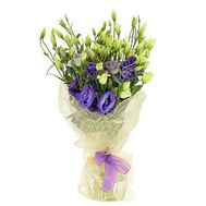 Букет из 9 эустом