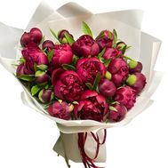 Букет из 25 бордовых пионов