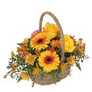 Корзина цветов с герберами
