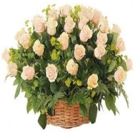 Корзина из 51 кремовой розы