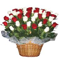 Корзина из 55 роз