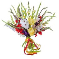 Красочный букет гладиолусов