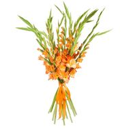 Яркий букет гладиолусов