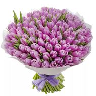 101 lilac tulips