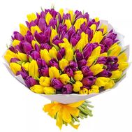 101 yellow and purple tulips