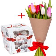 11 tulips and Raffaello