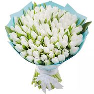 A bouquet of 101 white tulips