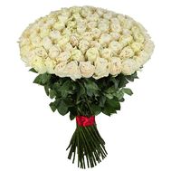 101 импортная белая роза