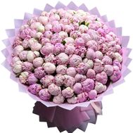 101 розовый пион