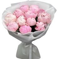 11 розовых пионов