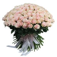 151 Pink Mondial roses