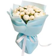 25 белых пионов