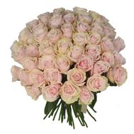 51 роза Пинк Мондиаль