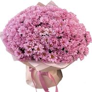 55 розовых хризантем