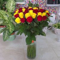 Букет из 31 розы - Фото 1