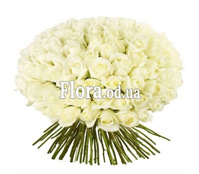 101 белая роза 60 см