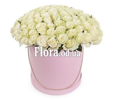 101 white roses in a box 101 white roses in a box