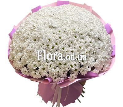 101 white chrysanthemum