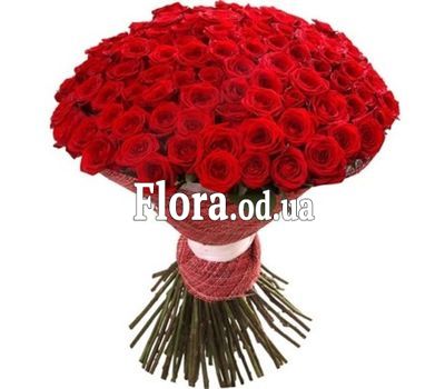 101 red roses 70 cm