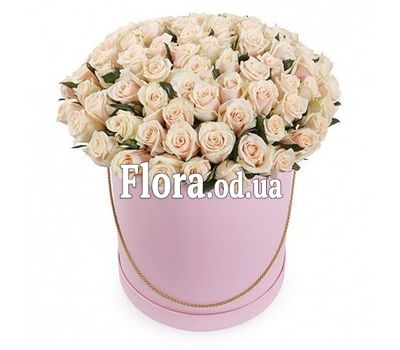 101 cream-colored roses in a box 101 cream-colored roses in a box