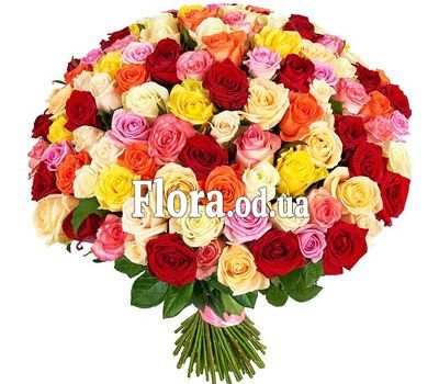 101 разноцветная роза 60 см