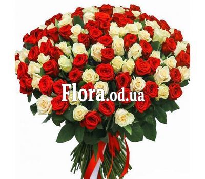 101 роза красная и белая
