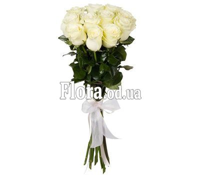 11 кремовых импортных роз