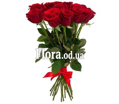 11 импортных красных роз