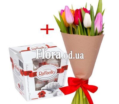11 tulips and Raffaello