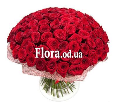 121 red roses 60 cm 121 red roses 60 cm