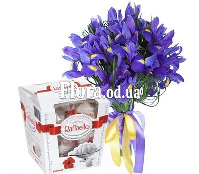 15 irises and Raffaello
