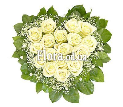 17 white roses 17 white roses