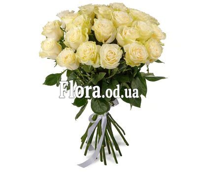 21 імпортна біла троянда 21 імпортна біла троянда