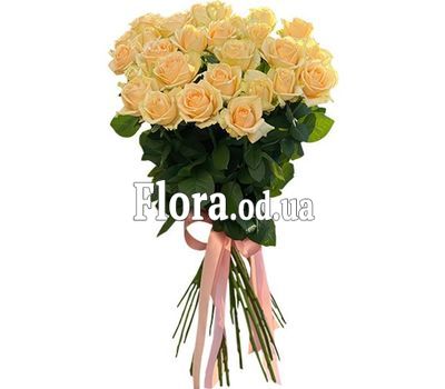 23 розы в букете