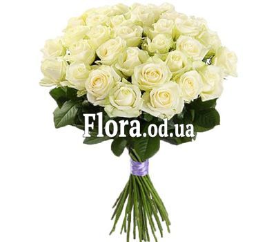 25 white roses in a bouquet