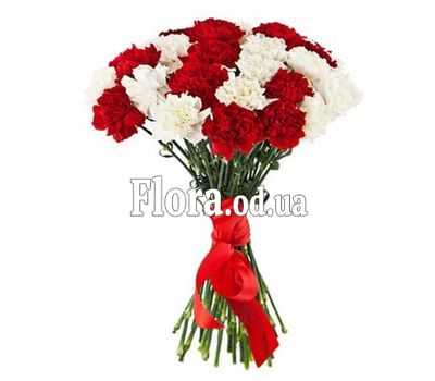 25 carnations
