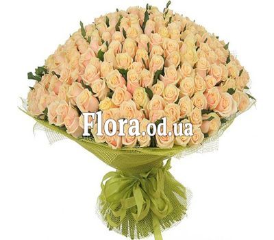 251 кремовая роза 60 см