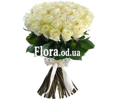 31 импортная белая роза