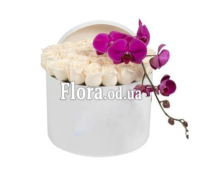 35 white roses with orchid in a box