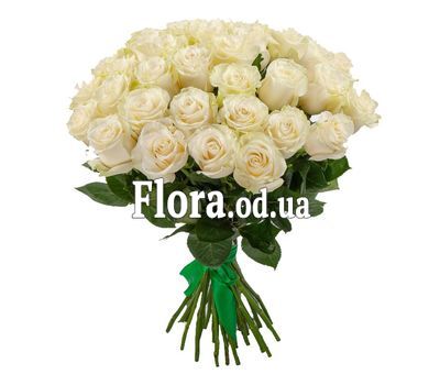 35 белых импортных роз